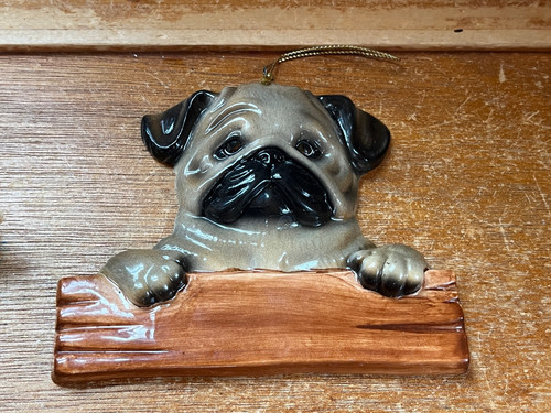 Carino cane cucciolo carlino