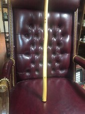 Bastone da passeggio