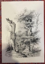 antico disegno ottocento