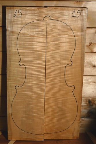 Legno per violoncello acero