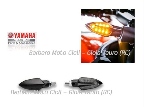 Coppia frecce led originale - 1,