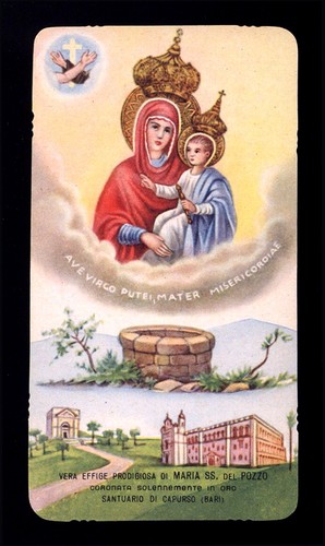 Santino holy card ediz egim - card, ediz.