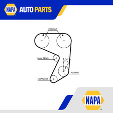 Cinghia distribuzione adatta