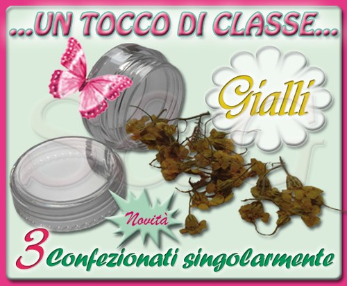 Vasetti fiori secchi - di,