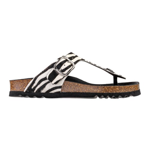 Scholl anais cavallino zebra - anais,