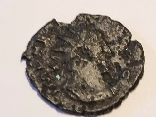 Bel dettaglio moneta - , in