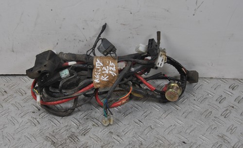 52687 cablaggio impianto - 52687,
