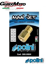 GETTI POLINI MASSIMO