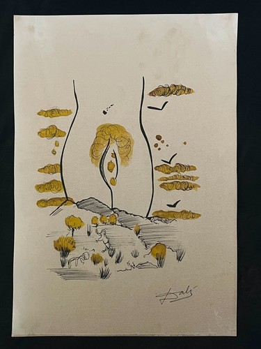 Salvador dali quadro disegno - salvador,