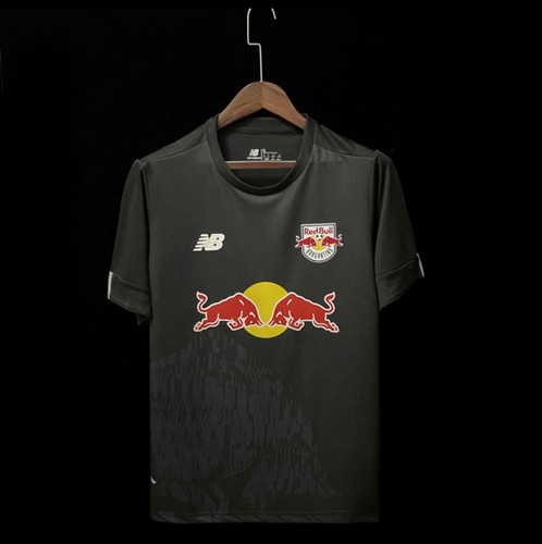 Red bull bragantino soccer - bull,
