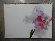 CALENDARIO PIRELLI 2004  -