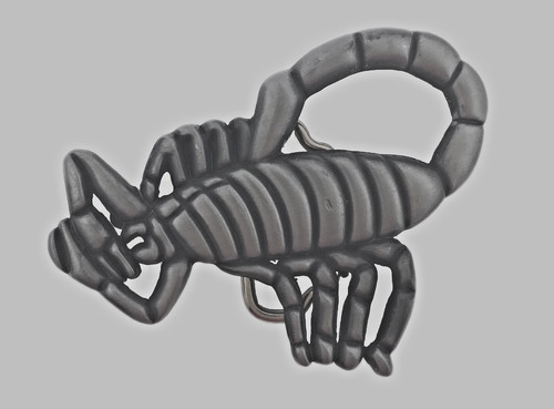 Fibbia cintura scorpione