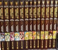 I Cavalieri Dello Zodiaco