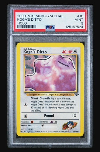 Koga ditto 132 gym - koga's, 10/132