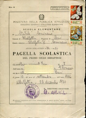 Pagella scolastica scuola - pagella, scolastica-scuola