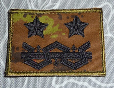 Gradi Pettorali vegetati Oscurati Generale di divisione - Esercito Italiano