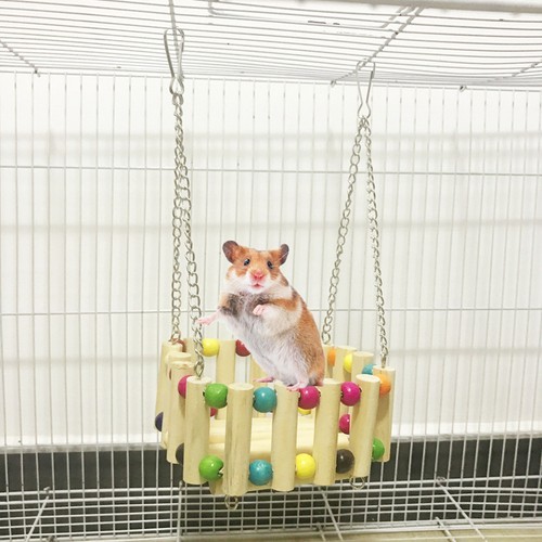 Amaca per piccoli - , animali