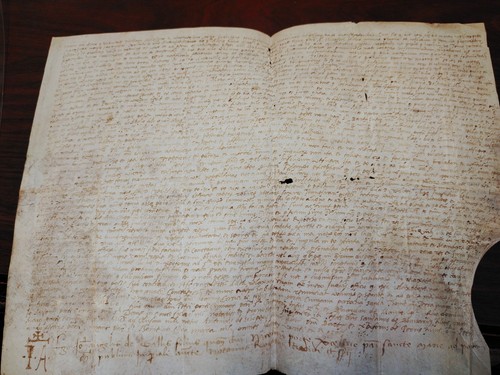 Anno 1509 pergamena - anno,