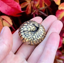 Fine pangolino coccolato, statuina in metallo ottone massiccio, fermacarte, nome da scrivania