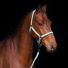 Polo halfter hvpnena - halfter, aqua