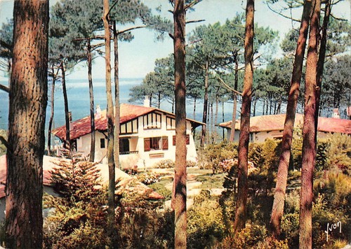 Bt5901 villa dans - bt5901, pinede