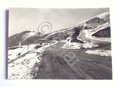 Cartolina Forca Canapine