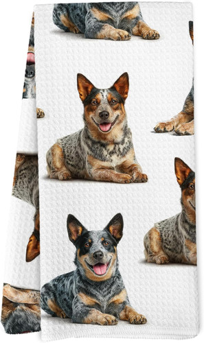 Australian cattle gifts - australian,