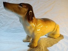 Statuetta salvadanaio cane - salvadanaio,