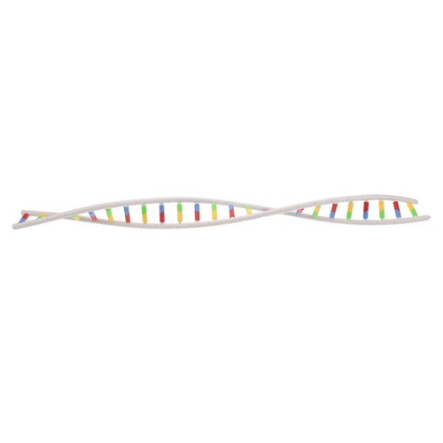 Kit modellismo dna modello - dna,,