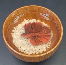 Unico pesce Betta rosso arte