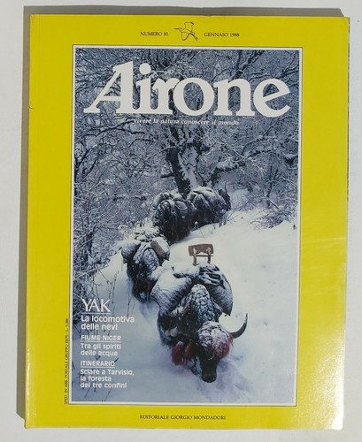 02585 airone viii 81 - 02585, nr