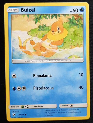 Buizel carta in - carta,