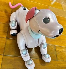 SONY AIBO ERS-1000 Robot Cane