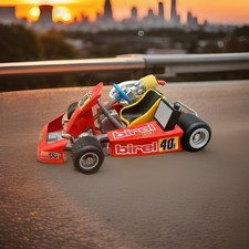 Birel 40F Go Kart Modello