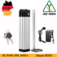 Batteria e-bike 24V 15.6Ah batteria bici elettrica per movimento Ruhr, non per Prophete