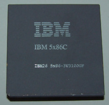 IBM 5x86C 5x86-3V3100GF 100