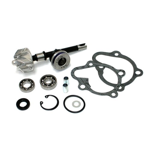 Kit revisione pompa acqua per - revisione,