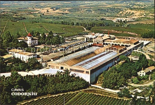 Cavas codorniu ripresa - cavas,