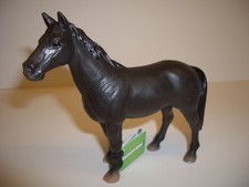 Maia & Borges 30003 cavallo