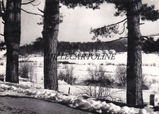 NETO of FERRARA: Grouping of