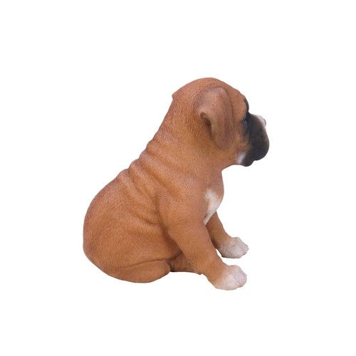 Boxer cucciolo - boxer,