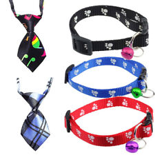 Kit 2in1 Collare nylon