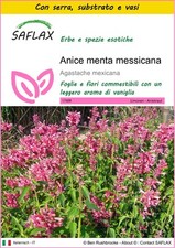 SAFLAX - Kit di coltivazione -