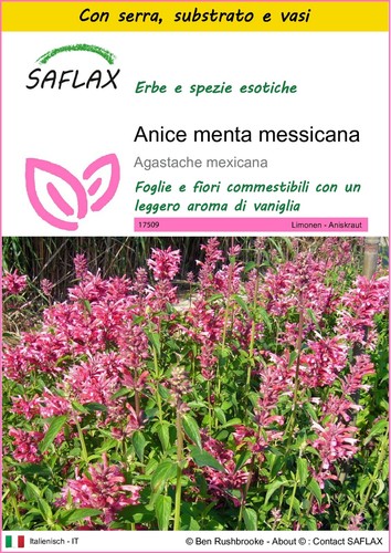Saflax kit coltivazione - -,