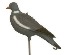 Stampo di colombaccio pieno -