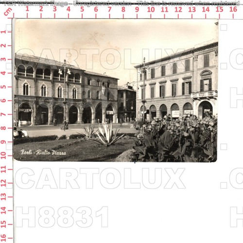 H8831 forli citta 1961 piazza - h8831,