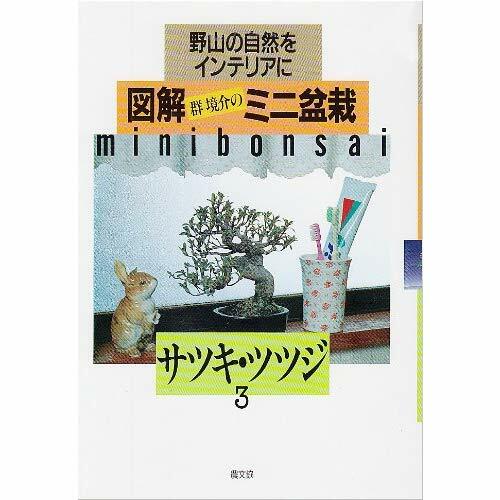 Bonsai libro satsuki - bonsai, satsuki-azalea
