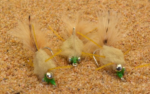 Mosca granchio testa - di,
