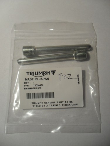 Set pin pastiglie freno - pin,