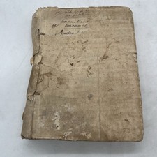 Palfino anatomia - palfino,